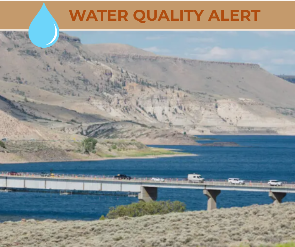 Water Quality Alert